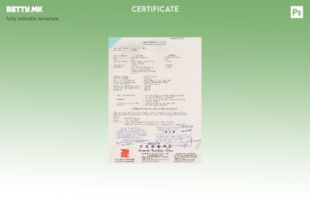 Модерен стил на тајвански шаблон за извод од матична книга на родените во шаблон